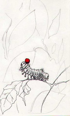 butoh catepillar.JPG
